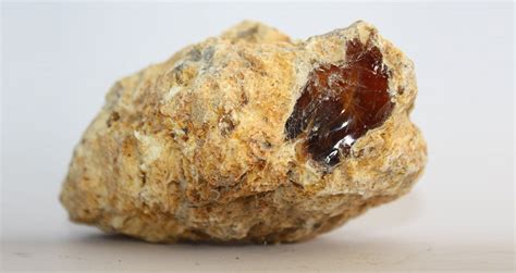 is whale vomit in perfume|where is ambergris found.